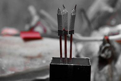 《怪物猎人：荒野》炎尾龙和波衣龙新情报